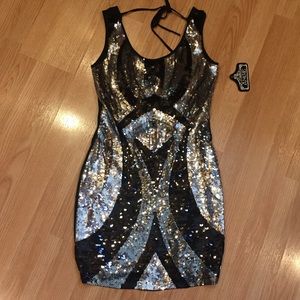 NWT Beautiful Sequin Dress